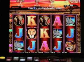 彩神VIl彩票2024最新版