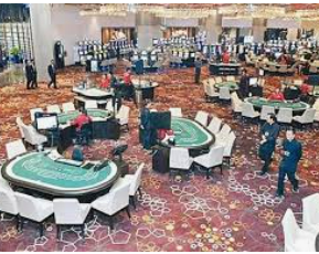 彩神VIl彩票正式版